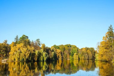Güzel göl manzarası ve sonbahar günü sarı ağaçlar.
