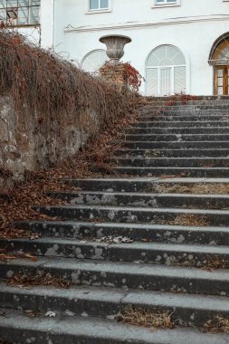 Sonbahar günü yaprakları dökülen merdivenlerin manzarası