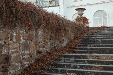 Sonbahar günü yaprakları dökülen merdivenlerin manzarası