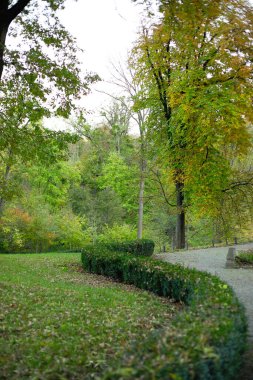 Yeşil ağaçları ve çalıları olan güzel bir sonbahar parkı manzarası