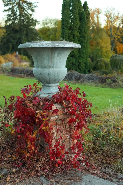 秋の公園で美しいアウトドア花瓶を見る — ストック写真