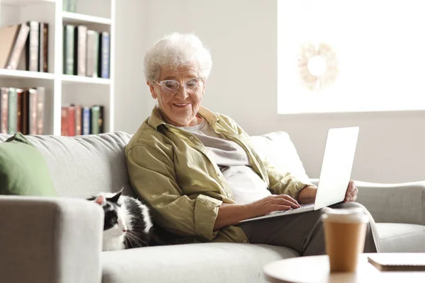 Senior woman with cute cat and laptop resting at home