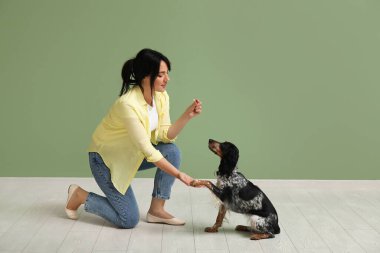 Köpek bakıcısı yeşil arka planda evcil hayvan eğitiyor