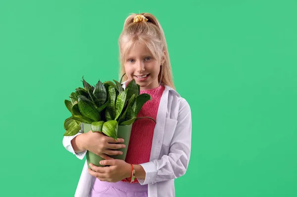 Little Girl Plant Green Background — Stock Photo, Image