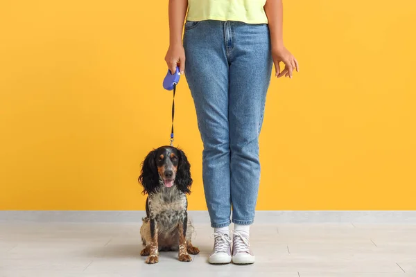 Dog handler with pet on yellow background