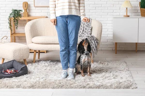 Gestore Cani Con Animale Domestico Casa — Foto Stock