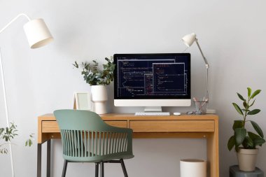 Hafif ofiste bilgisayar ve okaliptüs ile programcının işyeri