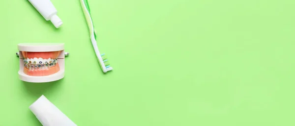 Μοντέλο Σιαγόνας Οδοντικά Στηρίγματα Οδοντόβουρτσα Και Πάστα Πράσινο Φόντο Χώρο — Φωτογραφία Αρχείου