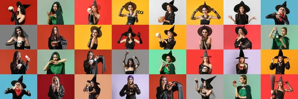 Collection Witches Color Background — Stock Photo, Image