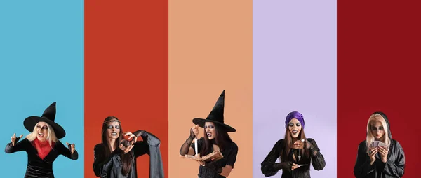 Group Young Scary Witches Color Background — Stock Photo, Image