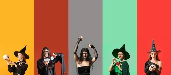 Collage Giovani Streghe Sfondo Colori — Foto Stock
