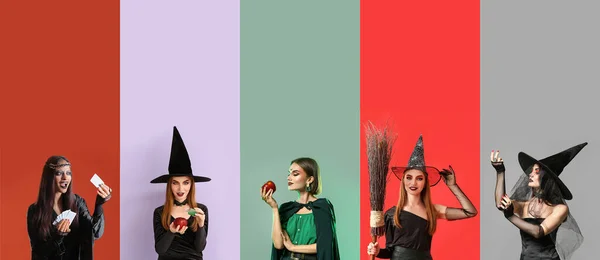 Gruppe Junger Hexen Auf Farbigem Hintergrund — Stockfoto