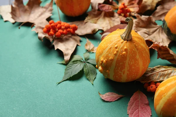 Autumn Composition Pumpkins Natural Forest Decor Green Background Closeup — Stock Photo, Image