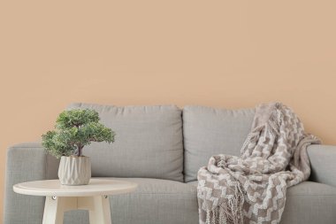 Gri kanepe ve dekoratif ağaç bej duvarın yanındaki küçük masada.