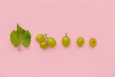 Pembe arka planda yaprağı olan yeşil üzümler.