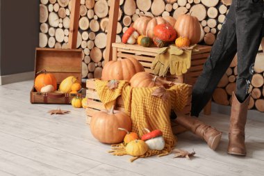 Cadılar Bayramı balkabakları ve ekoseli kutular