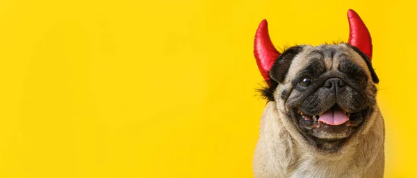 Симпатичная Собака Мопс Декором Хэллоуин Желтом Фоне Пространством Текста — стоковое фото