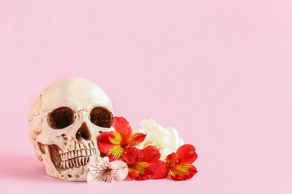 Human Skull Beautiful Flowers Pink Background — Stock Photo, Image