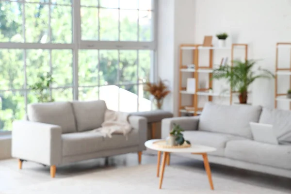 Zamazany Widok Salon Sofami Stołem Roślinami Domowymi — Zdjęcie stockowe
