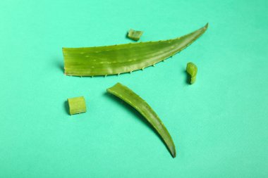 Aloe vera yeşil arka planda yapraklar ve dilimler