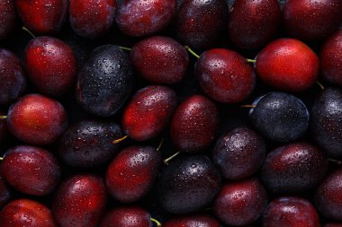 Arkaplan olarak taze olgun erik dokusu