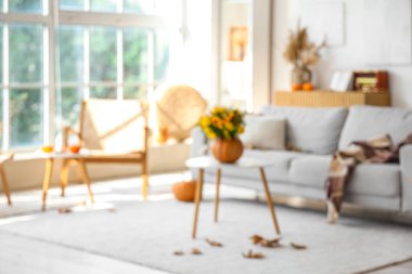 Kabaklar ve kanepe ile aydınlık oturma odasını bulanık görmek