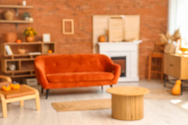 Blurred View Living Room Red Sofa Pumpkins — Stock Photo, Image