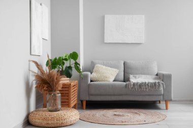 Modern oturma odasının içinde resimler, gri kanepe ve çiçek var.