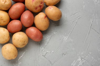 Gri arka planda taze çiğ patates.