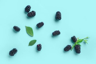 Mavi arka planda taze böğürtlen ve yapraklar