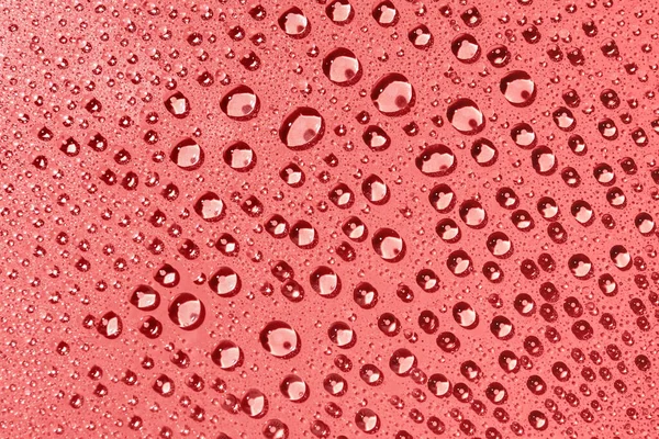 Macro View Water Drops Coral Background — Stock Photo, Image