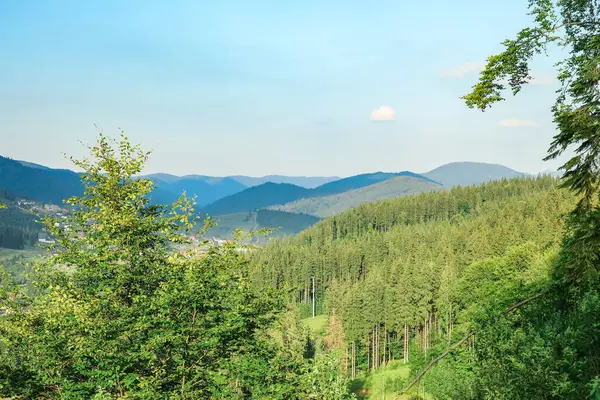 Schöne Berglandschaft Mit Grünem Wald Den Karpaten Ukraine — Stockfoto