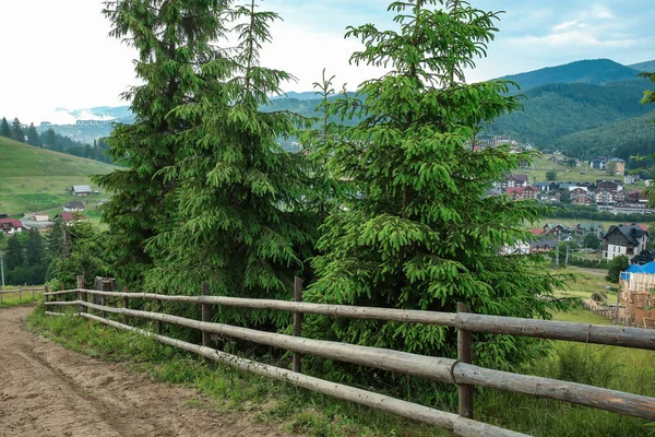 View of fir trees and village in Carpathian Mountains, Ukraine