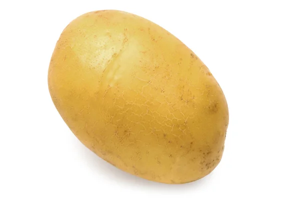 Fresh Raw Potato White Background — Stock Photo, Image
