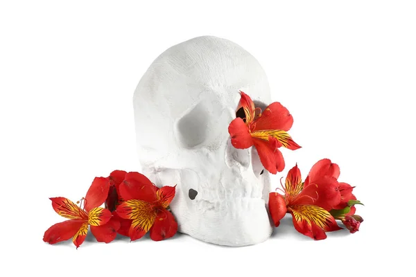 Crânio Humano Com Belas Flores Alstroemeria Fundo Branco — Fotografia de Stock