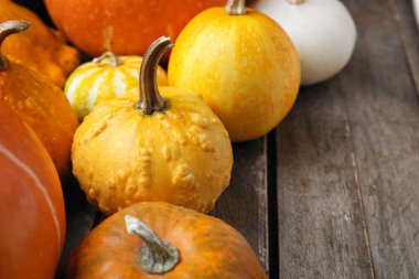 Ahşap arka planda farklı taze balkabakları