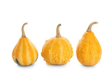 Beyaz arkaplanda taze balkabakları