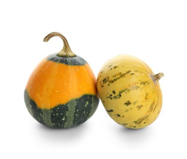 Beyaz arkaplanda farklı taze balkabakları