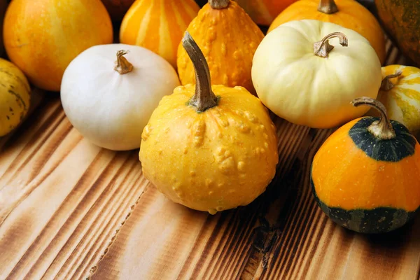 Different Fresh Pumpkins Wooden Background — Stock Photo, Image