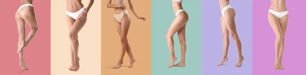 Set Female Legs Color Background — Stock Photo, Image