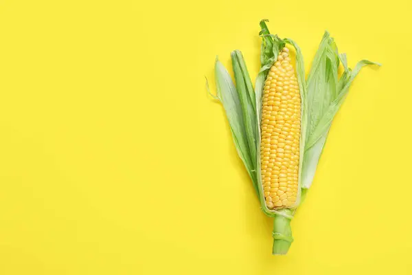 Fresh Corn Cob Husk Yellow Background — Stock Photo, Image