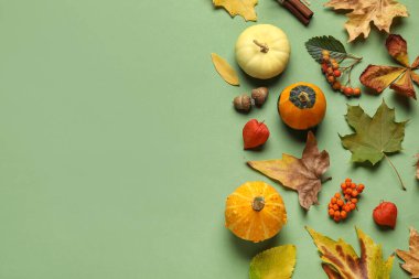 Olgun balkabaklarıyla ve doğal orman dekoruyla renklendirilmiş.