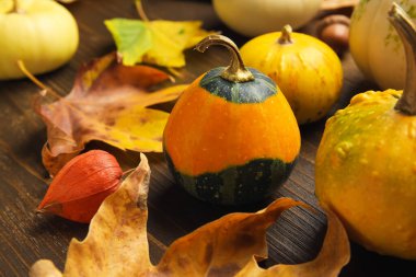 Kahverengi ahşap arka planda balkabağı ve sonbahar yapraklarıyla kompozisyon