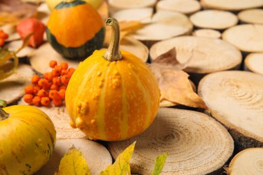 Balkabakları ve sonbahar yapraklarıyla ahşap dilimler üzerinde kompozisyon