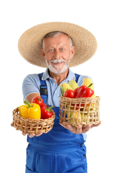 成熟的男性农民 提着柳条筐 装满了不同的成熟蔬菜 背景是白色的 — 图库照片