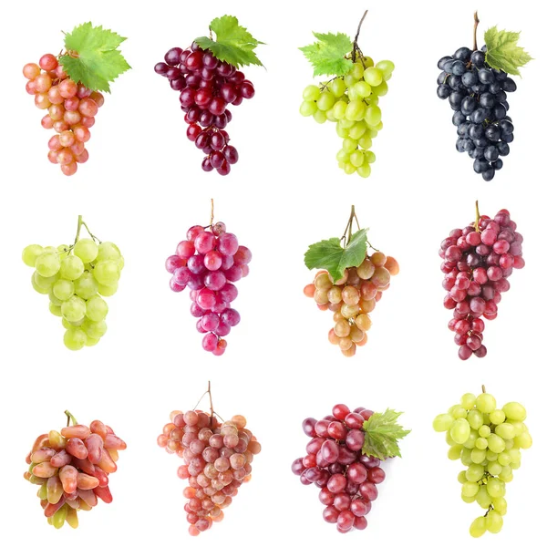 stock image Set of different grapes isolated on white 