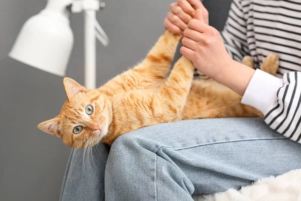 Woman Cute Ginger Cat Sitting Home Closeup — Stock Photo, Image