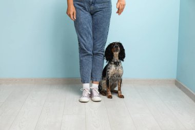 Mavi arka planda evcil hayvanı olan köpek bakıcısı