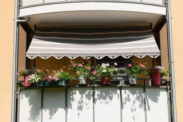 Widok Balkon Pięknymi Kwiatami Garnkach Słoneczny Dzień — Zdjęcie stockowe