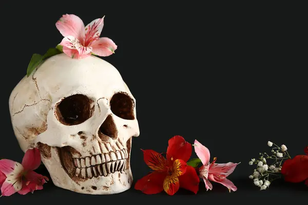 Crânio Humano Com Lírio Bonito Flores Gypsophila Fundo Preto — Fotografia de Stock